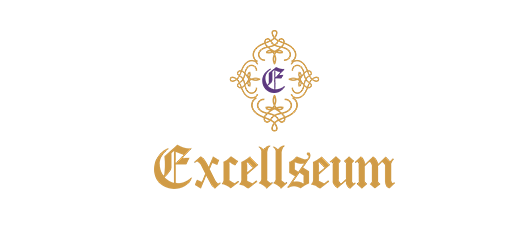 excellseum_logo_website_home2