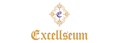 logo_excell